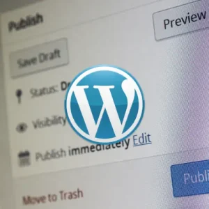 WordPress Website Designing Company in Kanpur